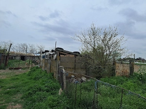 Loc ferma Roșiori de vede jud.teleorman  - imagine 5