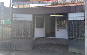 Spatiu comercial stradal, pozitie strategica – N. Balcescu, zona Piata Centrala - imagine 4