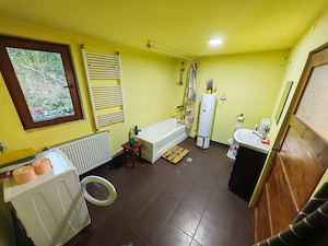 Vand ansamblu locuință vacanta - permanentă în zona retrasa- idilica - imagine 5