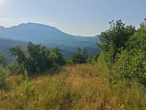 Vand ansamblu locuință vacanta - permanentă în zona retrasa- idilica - imagine 9