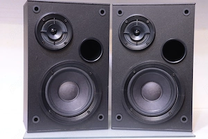 Boxe raft Interaudio Bose,2x70 W.