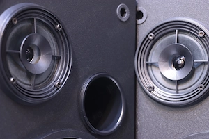 Boxe raft Interaudio Bose,2x70 W. - imagine 3