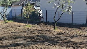 Teren intravilan de vânzare   775 mp, front stradal 16 m   Cerneteaz comuna Giarmata, județul Timiș - imagine 2