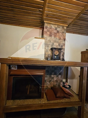 SINAIA- APARTAMENT DE VACANTA/ REZIDENTIAL- 3 camere in vila! - imagine 16