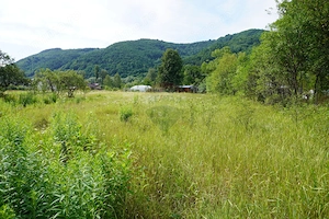 Teren 2785 mp, Central – Lângă Grădina Morii - imagine 14