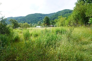 Teren 2785 mp, Central – Lângă Grădina Morii - imagine 18
