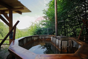 Cabană A-frame, Damiș, Bratca, Afacere la cheie De Vânzare - imagine 4