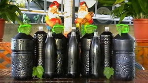 Vin de coacăze negre