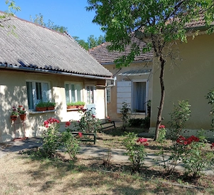 Casa Agrisu Mare Arad - imagine 3