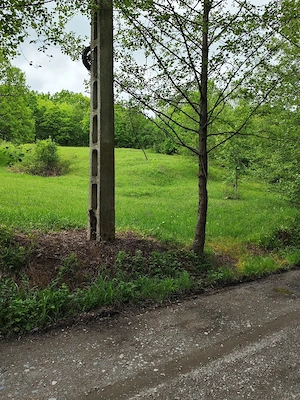 5200 mp teren Ibănești Tireu - imagine 3