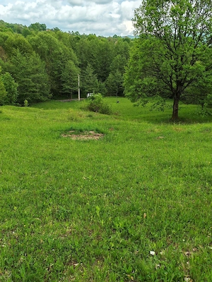 5200 mp teren Ibănești Tireu - imagine 4