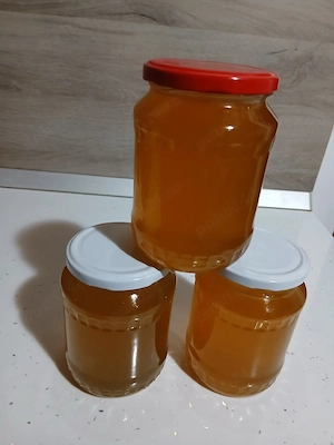 Miere poliflora