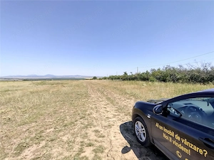 Nicolint, 2 Terenuri Extravilane, Arabil, 1.45 Hectare - imagine 15
