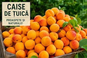 Vînd caise de țuică  coapte aromate 