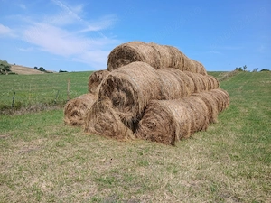 Furaje animale de vanzare