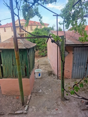 Casa de vanzare aproape de strand termal și centru Deta  la 45 km de Timisoara - imagine 9