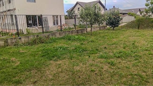 Comuna Berceni | Teren intravilan 500 mp | Gaz și Curent la poartă | Împrejmuit  - imagine 3