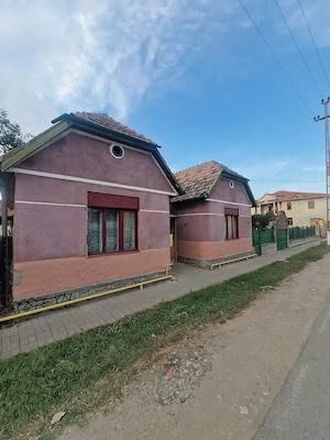 Casa de vanzare aproape de strand termal și centru Deta  la 45 km de Timisoara