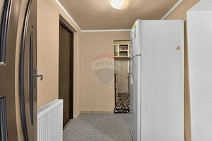 Casă complet mobilată în Aradul Nou, cu ieșire la mal - imagine 12