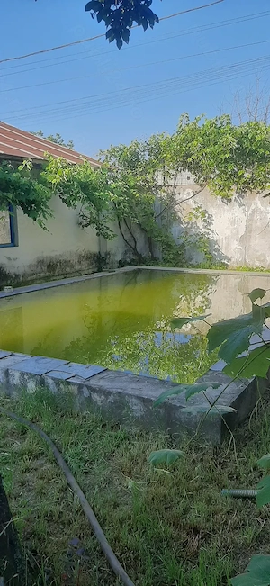 casa domnesti ilfov