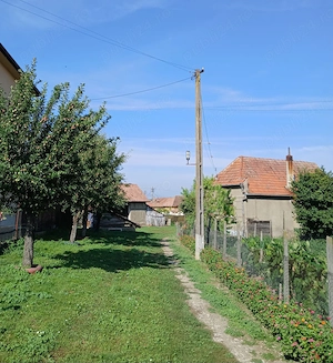 Vand casa in Mihalt jud. Alba - imagine 2