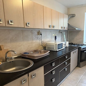 Bucurestii Noi, Pajura, inchiriere apartament cu 2 camere - imagine 5