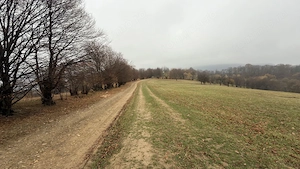 Teren deosebit 3,5HA zona Cisnadioara - imagine 5