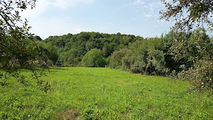 De vânzare: Teren intravilan 3.300 mp   Corbi, sat Stănești, jud. Argeș - imagine 3