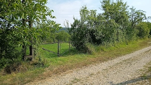 De vânzare: Teren intravilan 3.300 mp   Corbi, sat Stănești, jud. Argeș - imagine 4