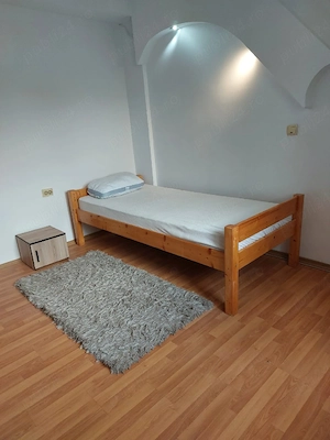 Proprietar, cameră cu baie proprie la vila pt.fete in Centru- UMF N. Leon, intrare separata - imagine 2