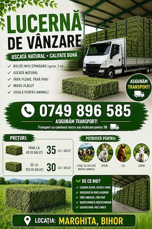 Lucerna de vânzare , avem și paie !