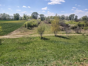 Teren extravilan, 3000 m2, Satu-Mare - imagine 10