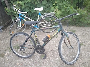 Bicicleta Nuzzi Italia ieftin la 500 de lei 