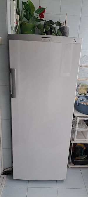 Congelator Arctic 