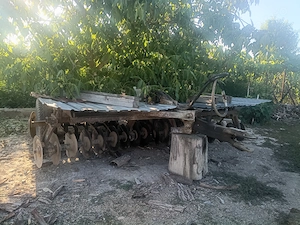 Tractor, remorcă,disc,plug - imagine 3