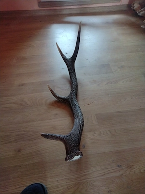 vand CORN 4 raze 90cm - imagine 3