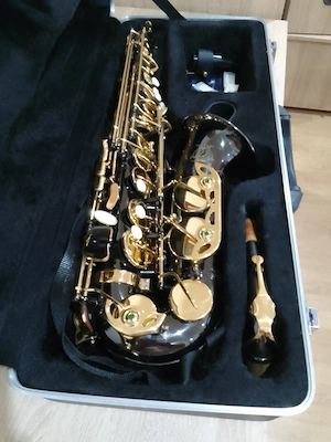 Saxafon parot 6430