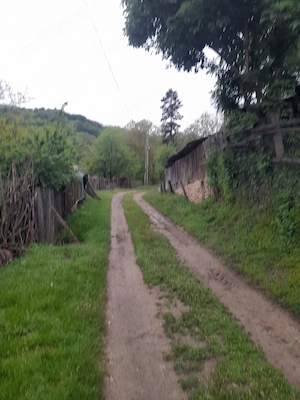  Cabană și teren 1600 metri intravilan  la  munte - imagine 7