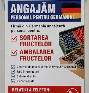 Locuri de munca laambalat de fructe 