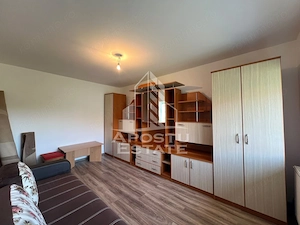 Apartament cu 1 cameră de vânzare , Zona Lipovei , Timișoara - imagine 3