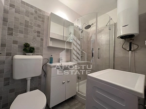 Apartament cu 1 cameră de vânzare , Zona Lipovei , Timișoara - imagine 4
