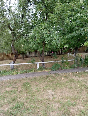 Casă bătrânească cu teren generos de 5.000 mp   Șișcani (15 km de Huși) - imagine 6