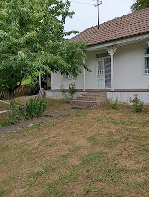 Casă bătrânească cu teren generos de 5.000 mp   Șișcani (15 km de Huși) - imagine 7