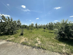 Agentia imobiliara VIGAFON vinde casa 2 camere Finta-Dambovita - imagine 8