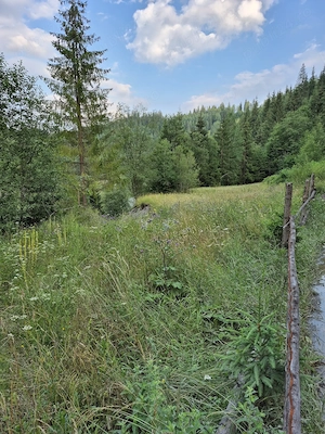 Vand teren in fundu Moldovei Suceava