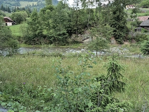 Vand teren in fundu Moldovei Suceava - imagine 6