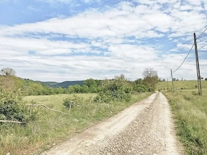 TEREN DE VÂNZARE - 2749 MP (Sat Valea Sălciilor, Com. Tisău - Jud. Buzău) - imagine 3