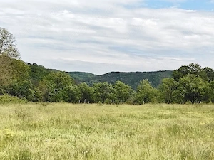 TEREN DE VÂNZARE - 2749 MP (Sat Valea Sălciilor, Com. Tisău - Jud. Buzău) - imagine 2