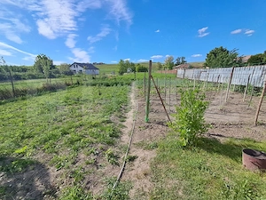 Casă de vânzare, 138 mp, 2.750 mp teren intravilan, zona Nazna - imagine 7