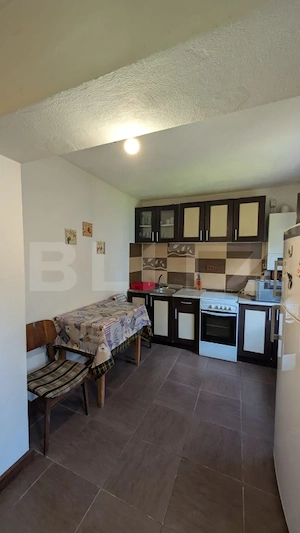 Casă individuala, 75 mp, teren 2180 mp, 2 fronturi stradale, zona Pucioasa - imagine 12